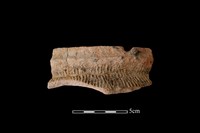 藏品(陶罐)的圖片